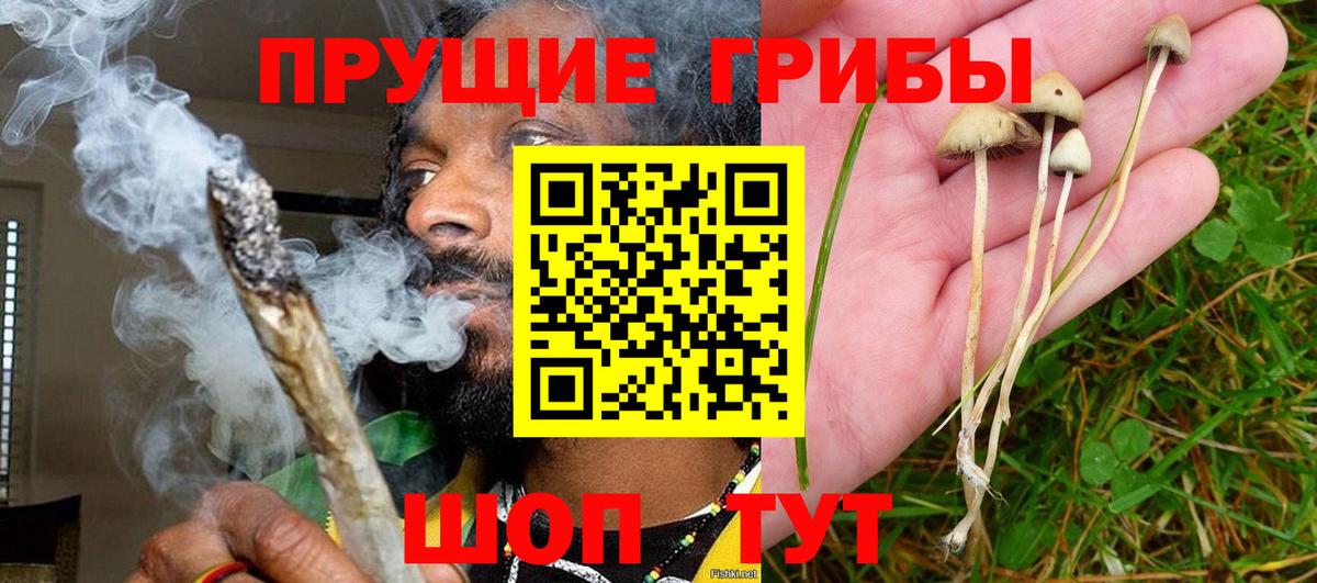 Псилоцибиновые грибы ЛСД Похвистнево