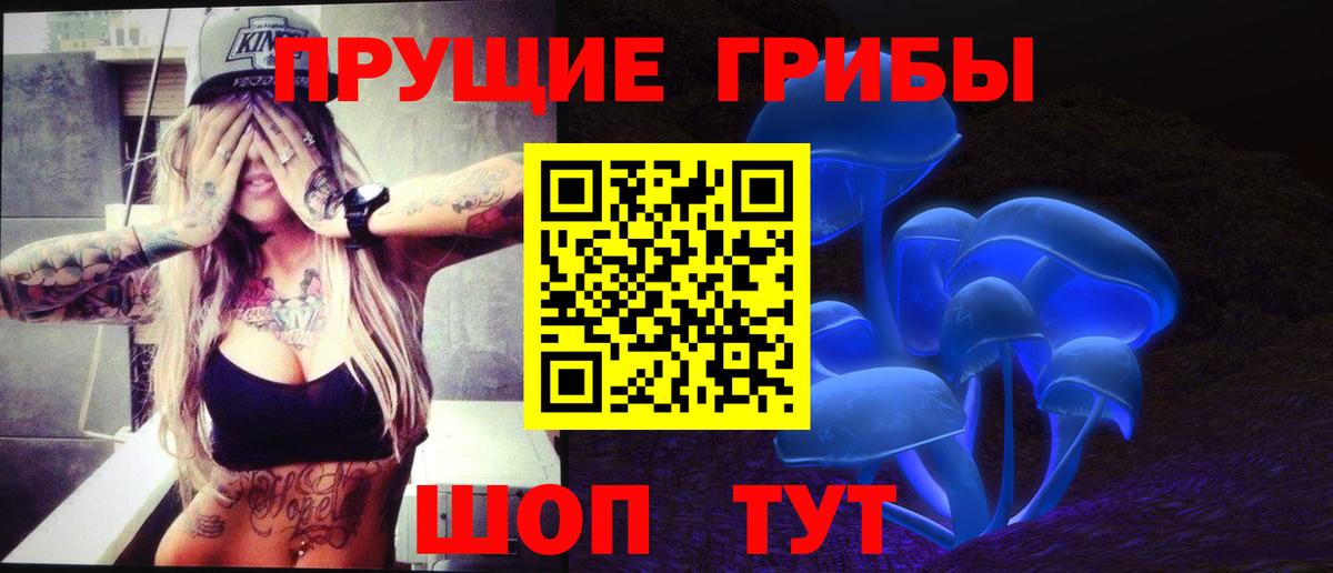 Псилоцибиновые грибы прущие грибы  Галлюциногенные грибы прущие грибы  Похвистнево  Вход с VPN 